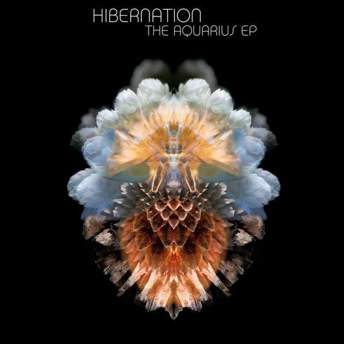 Hibernation Profile