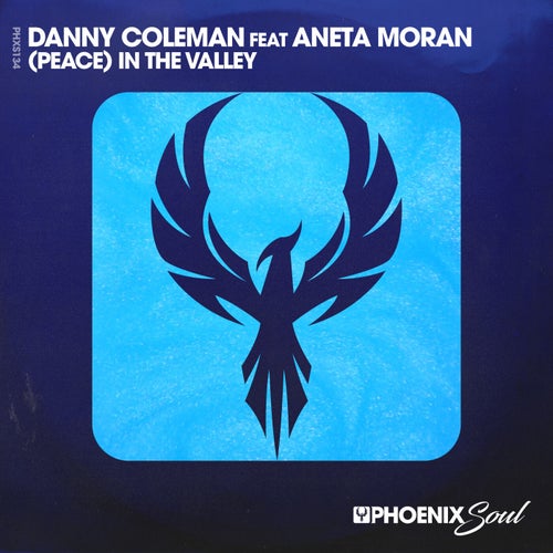 (Peace) In The Valley (feat Aneta Moran)