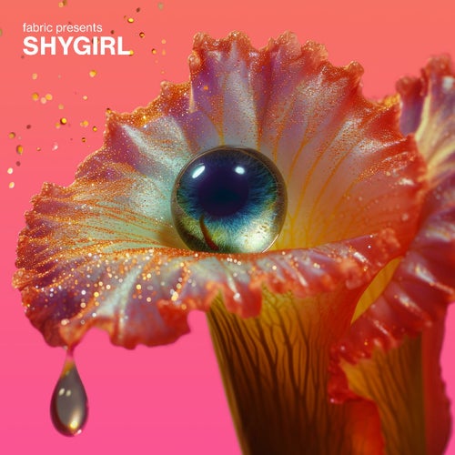 fabric presents Shygirl Continuous Mix