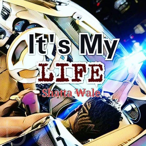 It's My Life