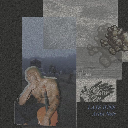 Release of the week