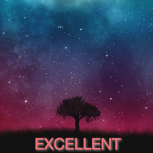 EXCELLENT