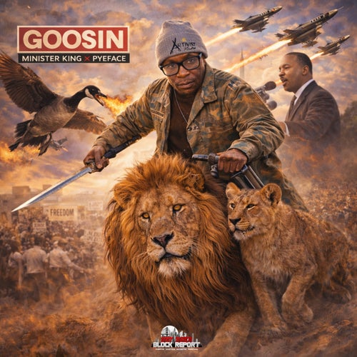 Goosin