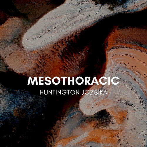 Mesothoracic