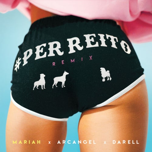 Perreito