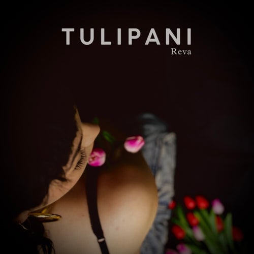 Tulipani