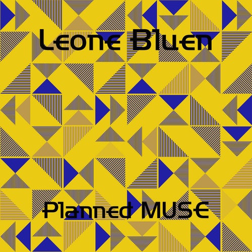 Planned MUSE