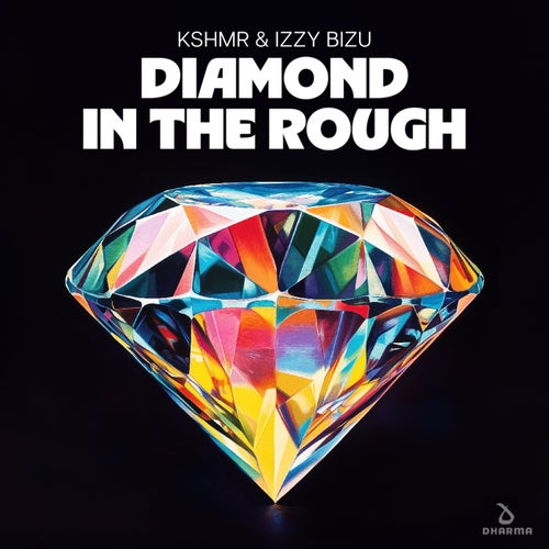 Diamond In The Rough (Extended Mix)