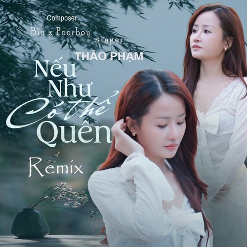 Nếu Như Có Thể Quên (AM Remix)