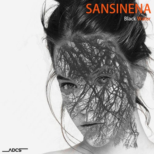Sansinena Profile