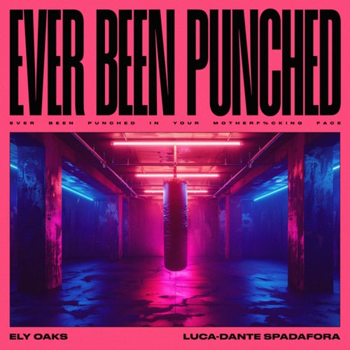 Ever Been Punched (Extended Mix)