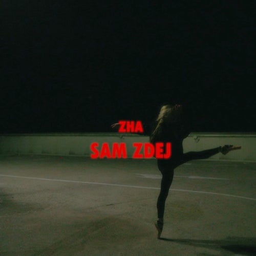SAM ZDEJ