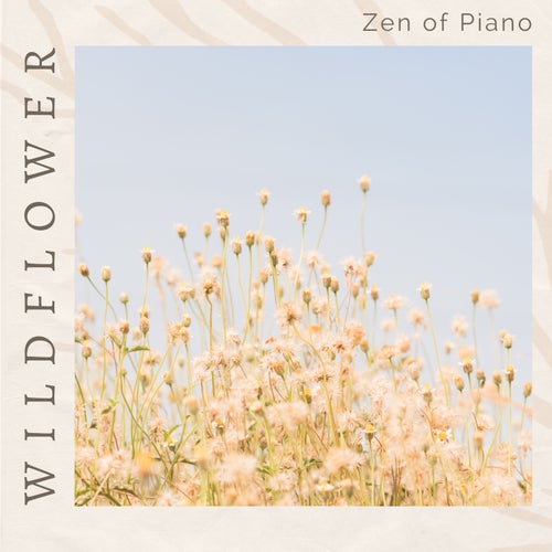 Wildflower
