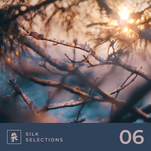 Silk Selections 06