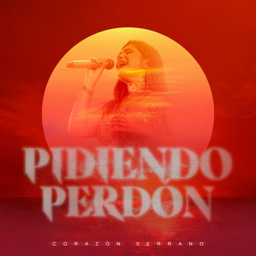 Pidiendo perdón
