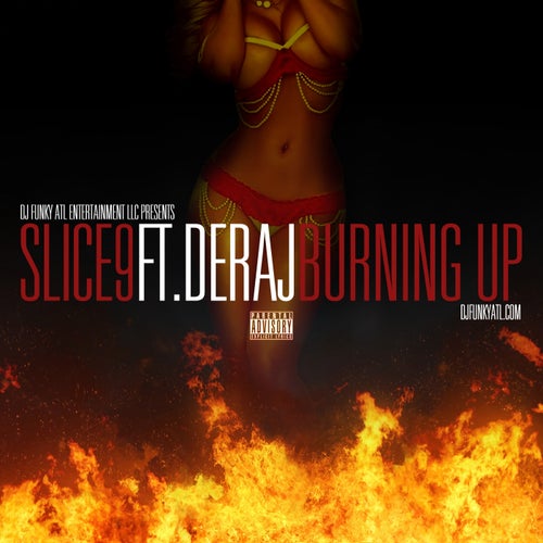 Burning Up (feat. Deraj) - Single