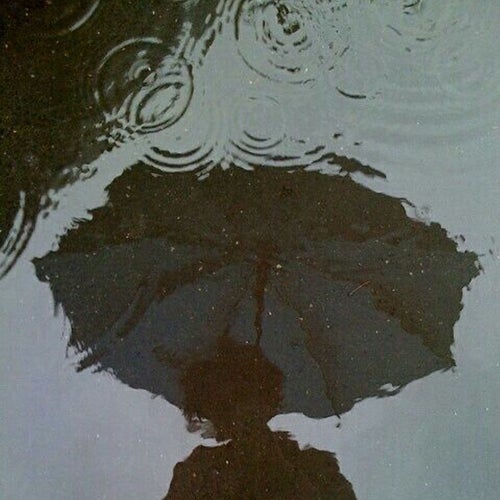 Lonely Rain
