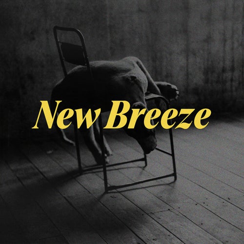 New Breeze