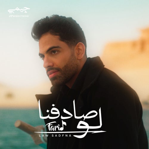 لو صادفنا