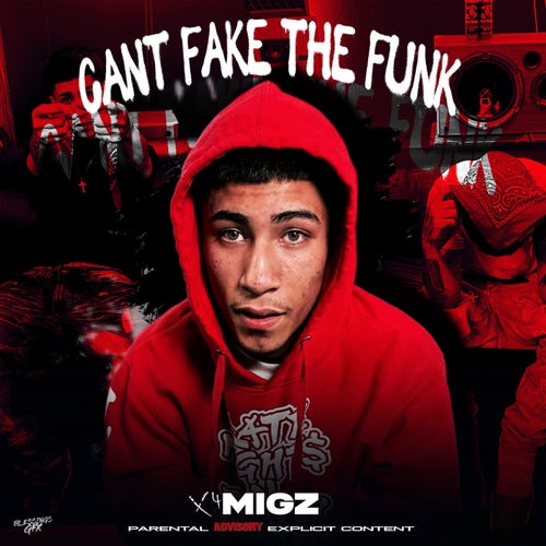 Cant Fake The Funk