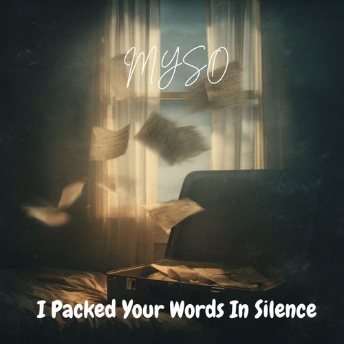 I Packed Your Words In Silence