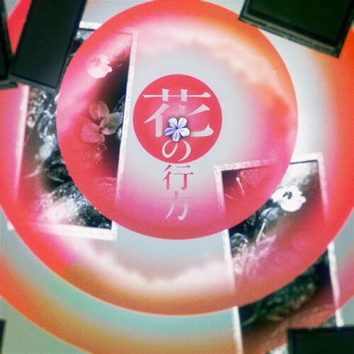 Hana no yukue (Instrumental)