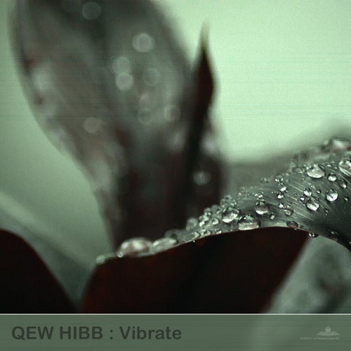 Vibrate