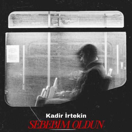 Sebebim Oldun