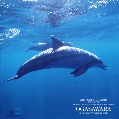 Voices Of The Earth Islands Nature Recordings Ocean Wonderland Ogasawara