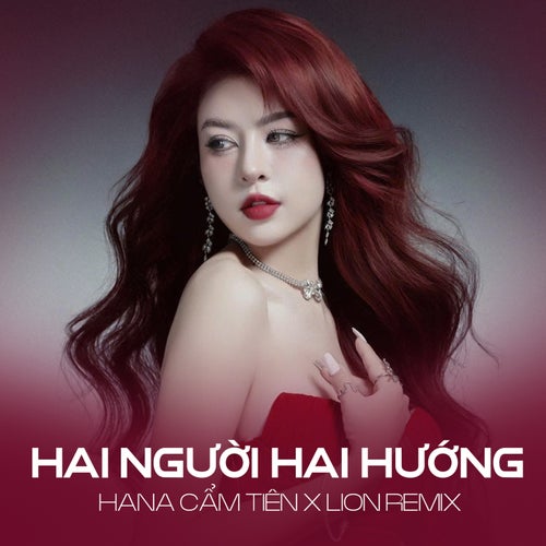 Hai Người Hai Hướng (REMIX)