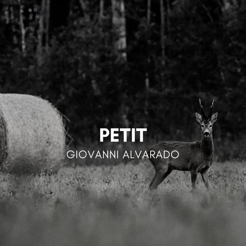 Petit