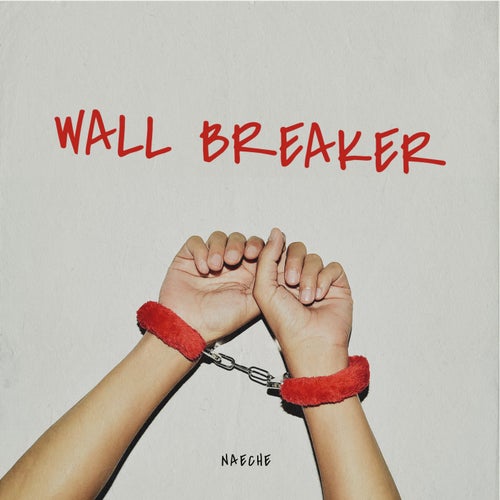 Wall Breaker