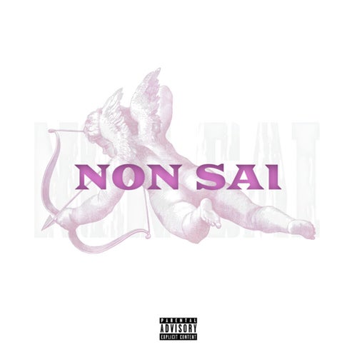 Non Sai