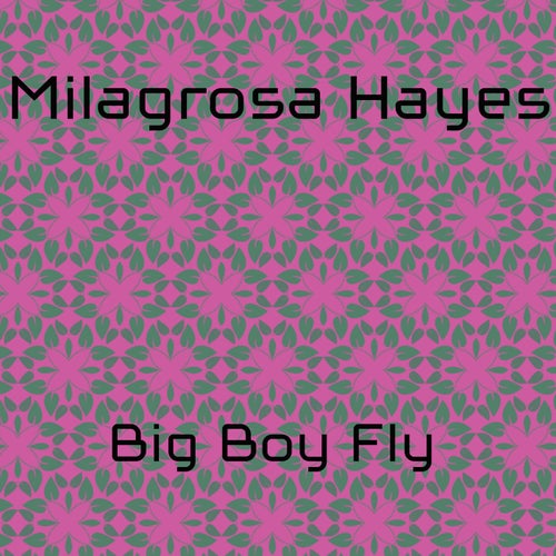 Big Boy Fly
