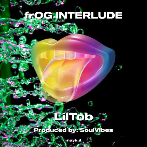 frOG INTERLUDE