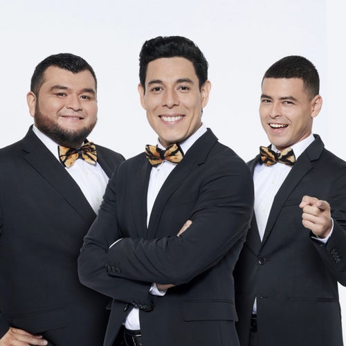 Los Tres Tristes Tigres Profile