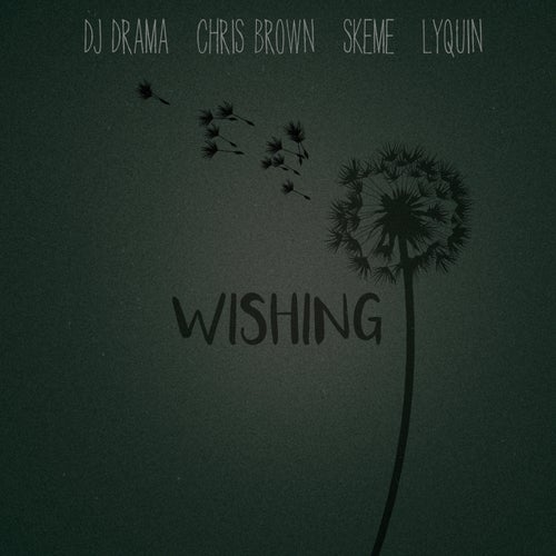 Wishing (feat. Chris Brown, Skeme & Lyquin)