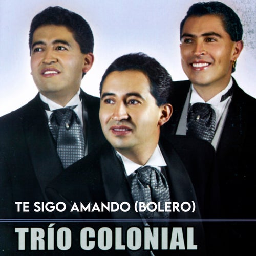 Te Sigo Amando (Bolero)