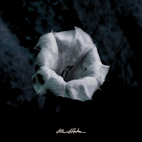 Another Day with You (feat. Seth Cawthon)