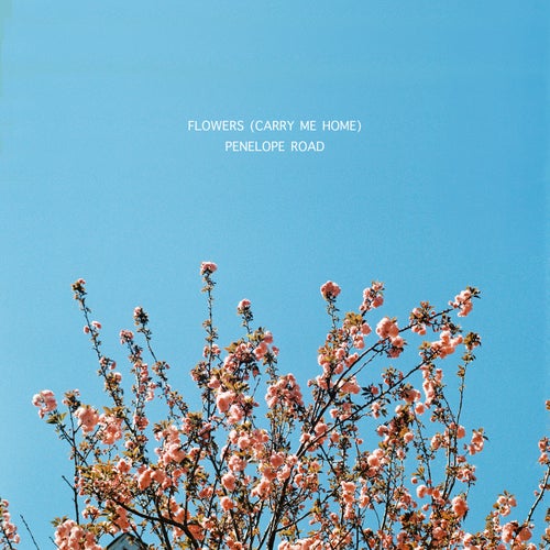 Flowers (Carry Me Home)