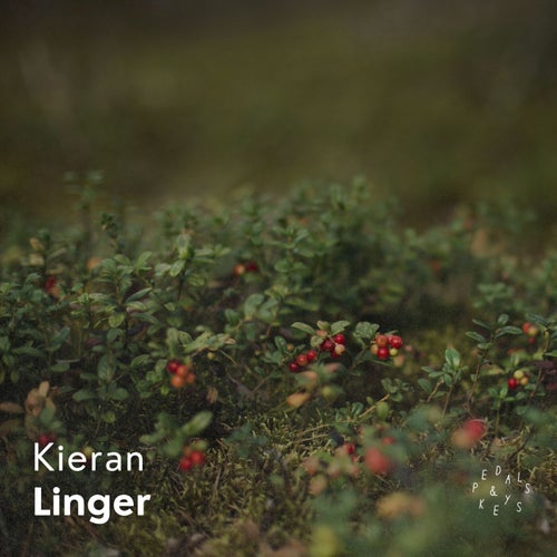 Linger (Piano Version)