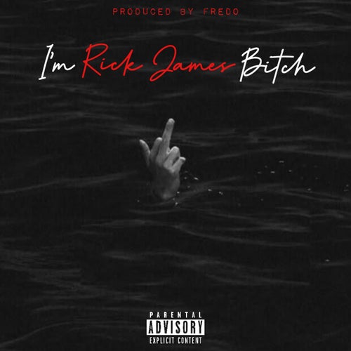 I'm Rick James Bitch