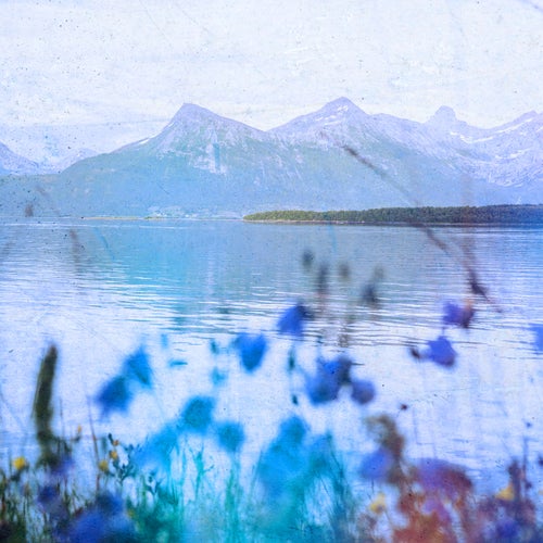 fluid fjord