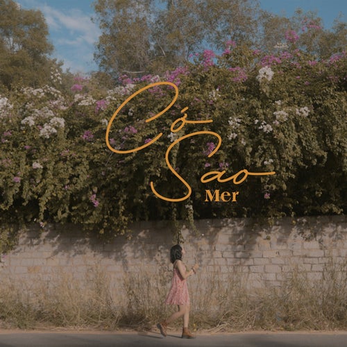 Cớ Sao