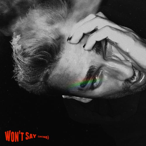 Won't Say (Demo)