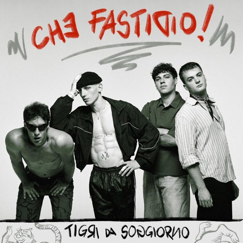 CHE FASTIDIO!
