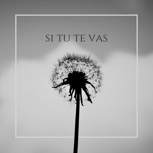 si tu te vas