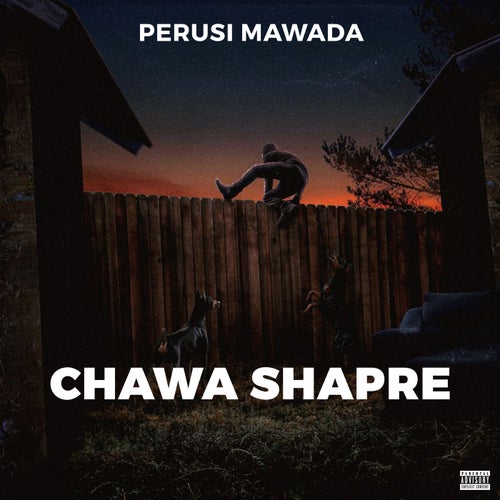 Chawa Shapre