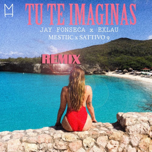 Tu Te Imaginas - Remix