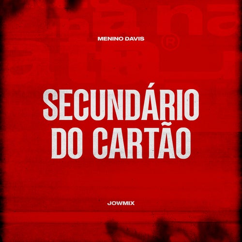Secundário Do Cartão